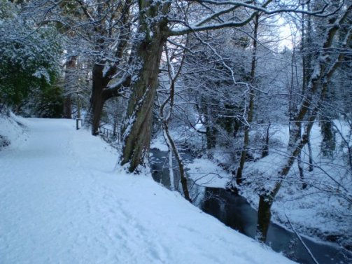 1914166_418436280203_2634162