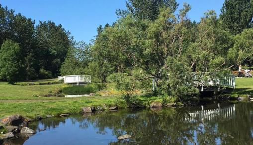 37357265_1913464215613066_8356842692461723648_n