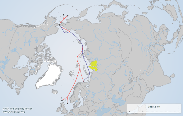 Screen Shot 2018-10-29 at 8.07.49 PM